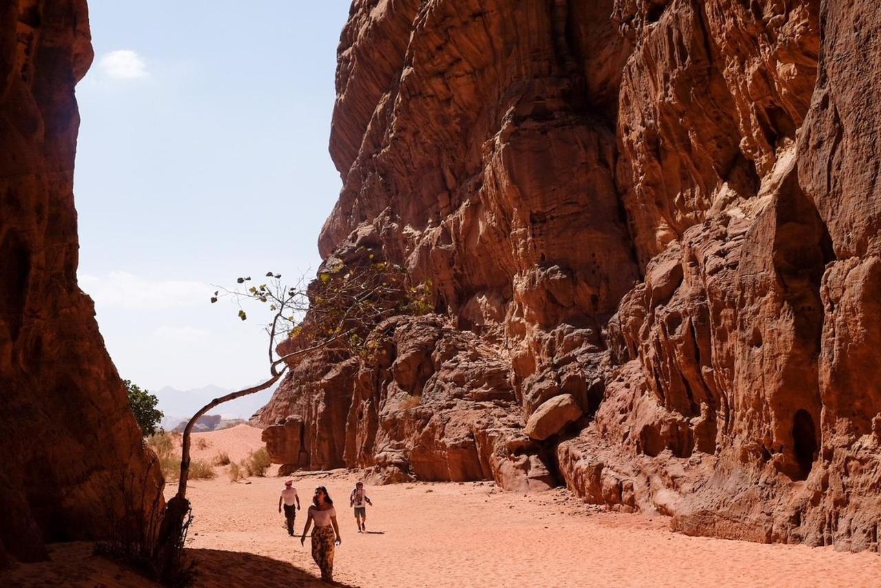 Wadi Rum Bedouin Camp And Desert Tours Luaran gambar